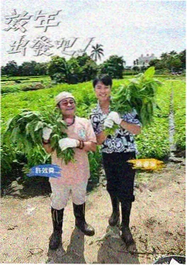奔跑吧·极速